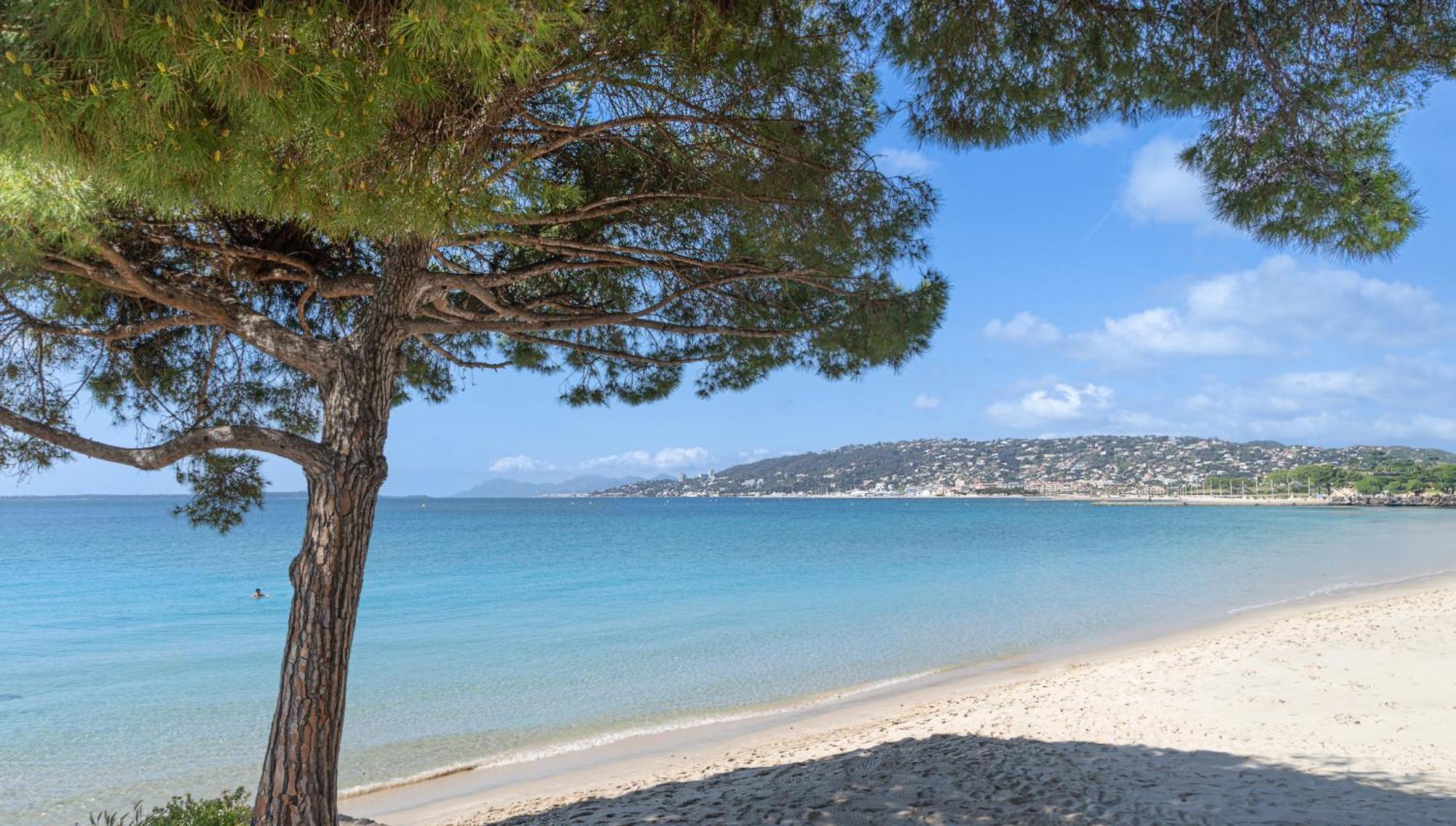 Les 15 Pins & La -your Getaway Near Sea & Appartamento